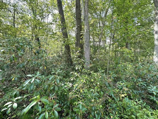 LOT 70 PINE DRIVE, TERRA ALTA, WV 26764 - Image 1