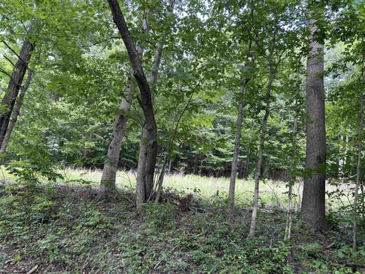 LOT 4 EAST RUN CIRCLE, FOUR STATES, WV 26572 - Image 1