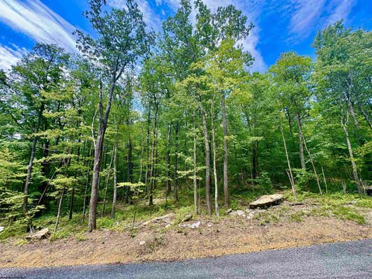 LOT 16 WHISKEY WOODS LANE, BRUCETON MILLS, WV 26525 - Image 1