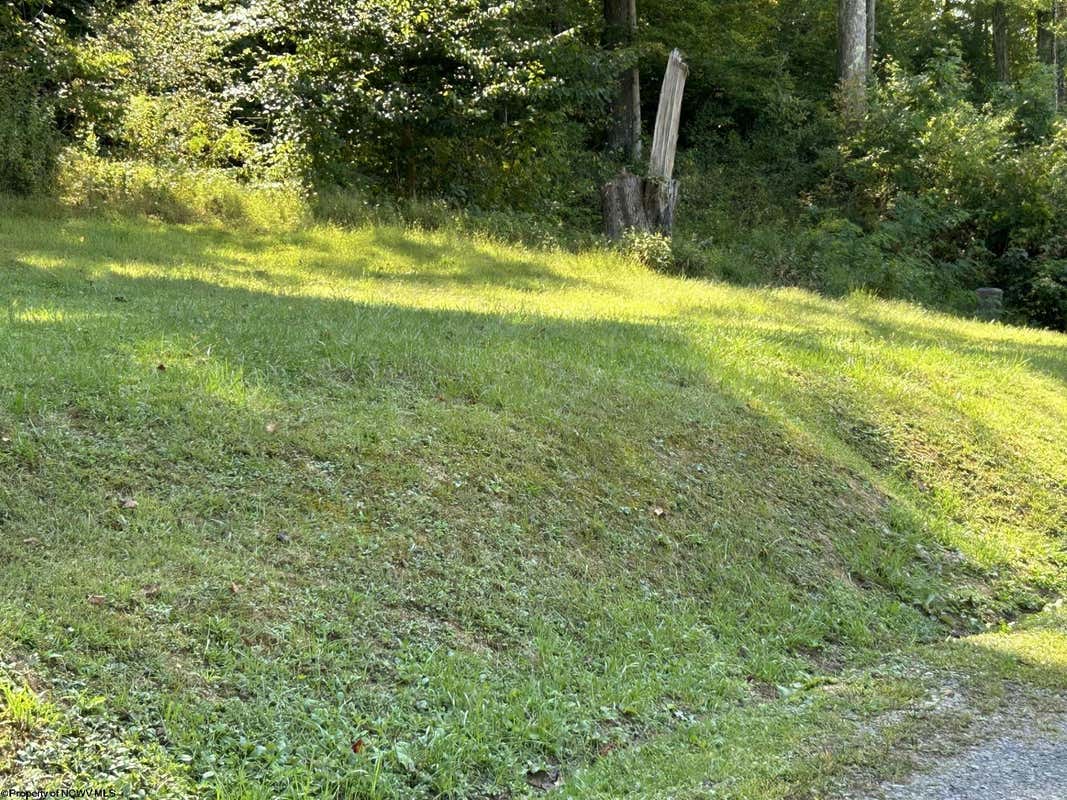 LOT 1 EAST RUN CIRCLE, FOUR STATES, WV 26572, photo 1 of 12