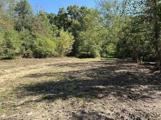 LOT 1 EAST RUN CIRCLE, FOUR STATES, WV 26572, photo 3 of 12