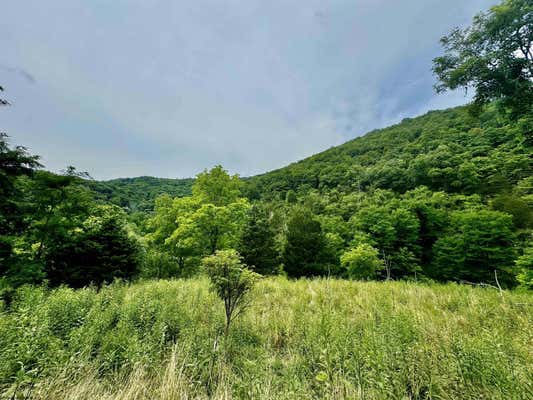 TBD DUMPLING RUN ROAD, MOOREFIELD, WV 26836 - Image 1