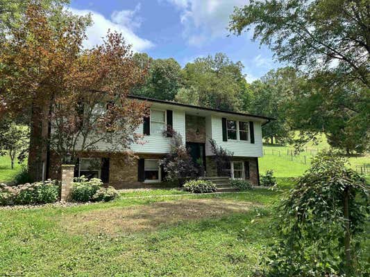 675 OWINGS RD, SHINNSTON, WV 26431 - Image 1