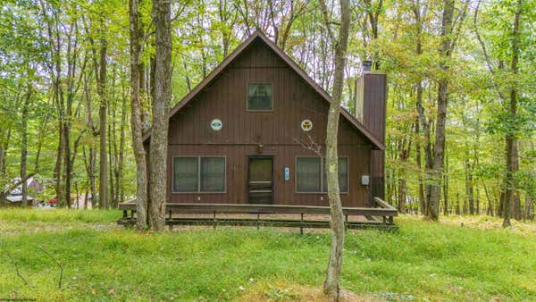 732 GOLDENROD DR, TERRA ALTA, WV 26764 - Image 1