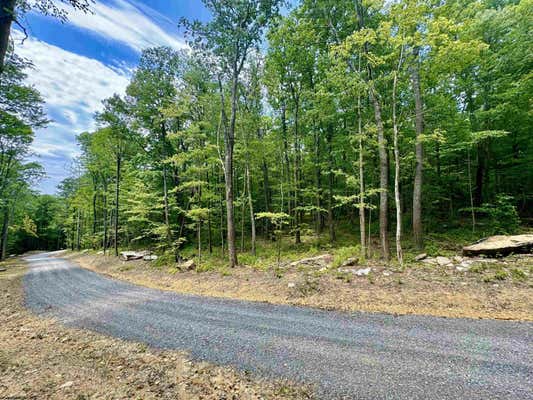 LOT 17 WHISKEY WOODS LANE, BRUCETON MILLS, WV 26525 - Image 1