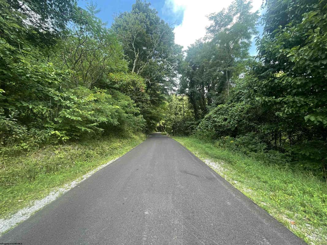 TBD KUMBRABOW FOREST ROAD, HUTTONSVILLE, WV 26273, photo 1 of 27