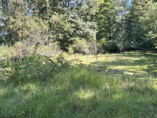 LOT 1 EAST RUN CIRCLE, FOUR STATES, WV 26572, photo 4 of 12