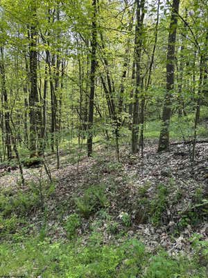 LOT C SAND BANK ROAD, MASONTOWN, WV 26542, photo 2 of 19