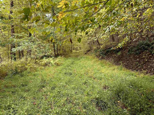 LOT 6 DECKERS TRAIL ROAD, MASONTOWN, WV 26542 - Image 1