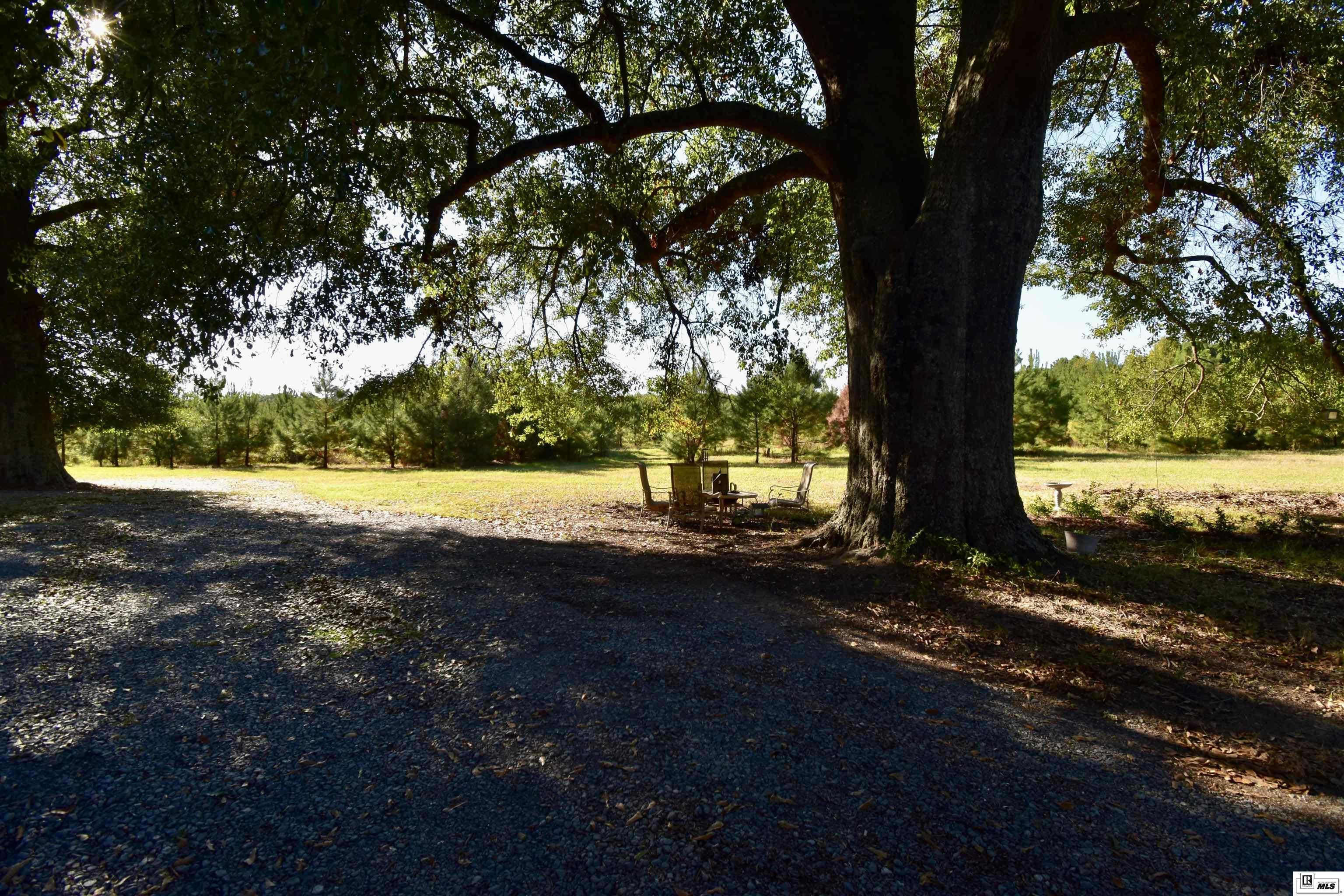 Choudrant, Louisiana, 71227, United States, ,3 BathroomsBathrooms,Residential,Active,1702985