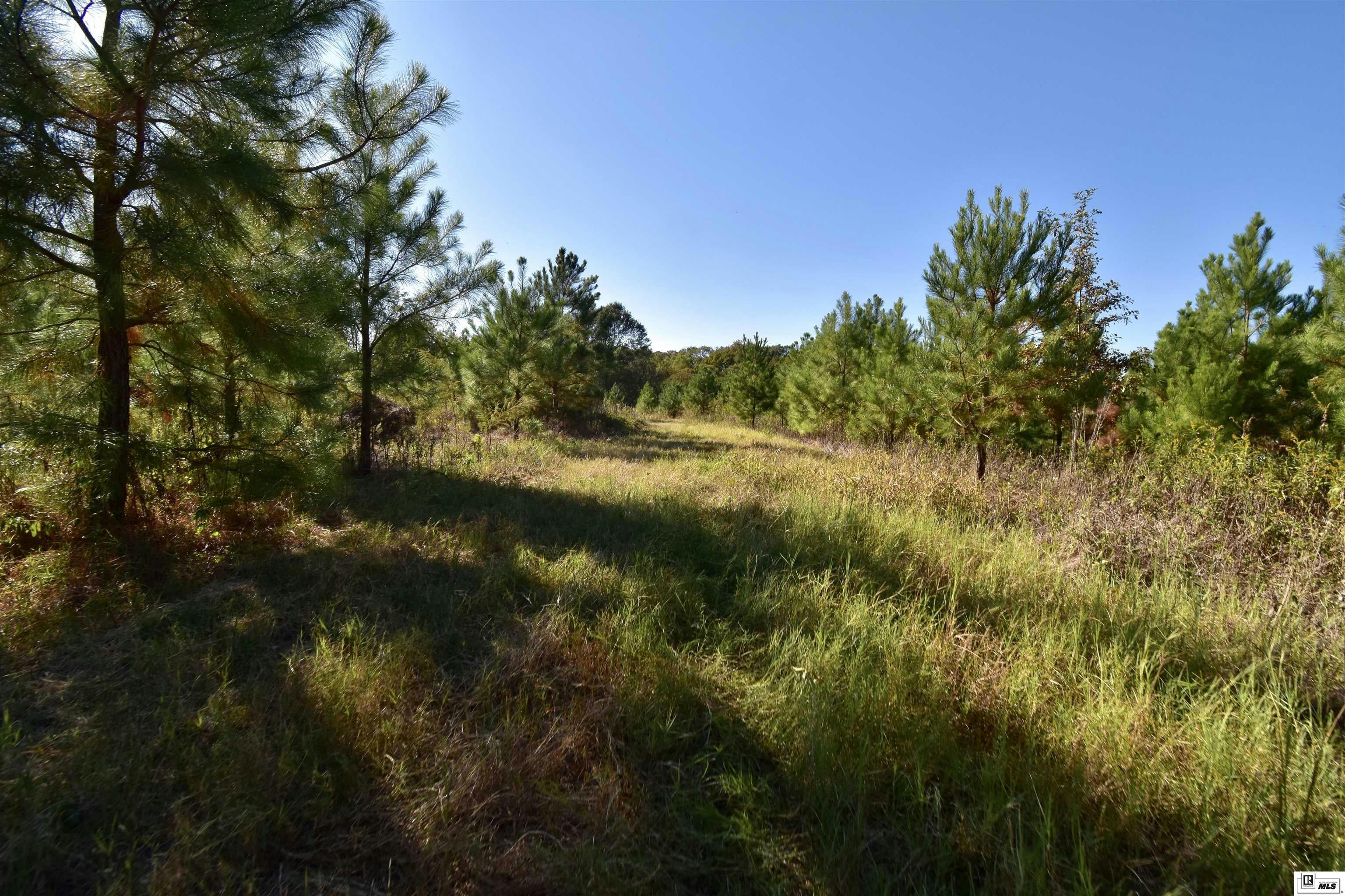 Choudrant, Louisiana, 71227, United States, ,3 BathroomsBathrooms,Residential,Active,1702985