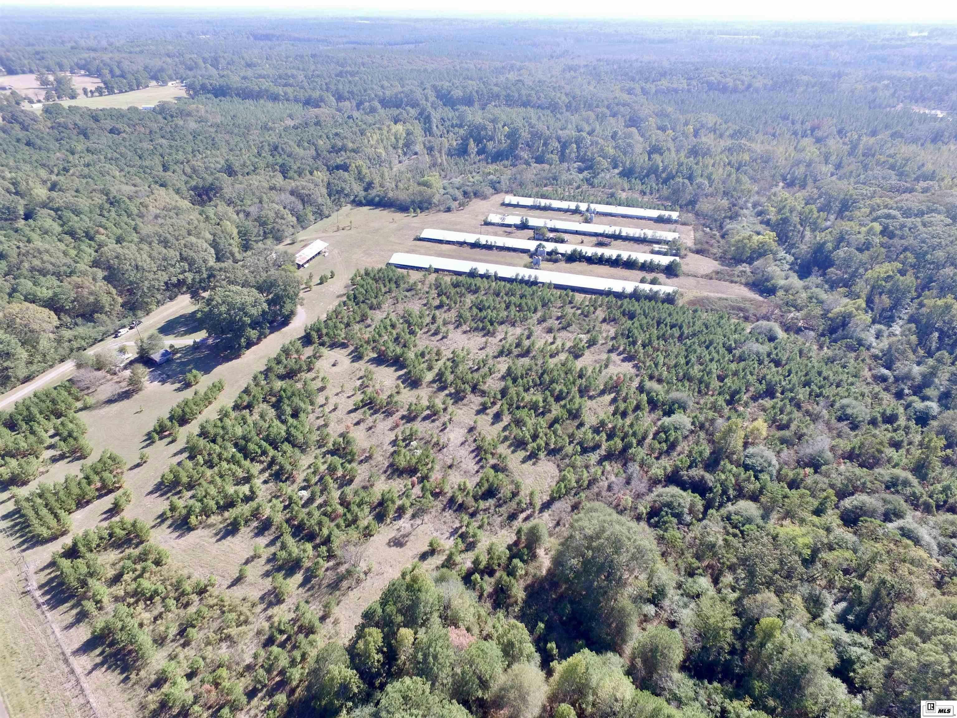 Choudrant, Louisiana, 71227, United States, ,3 BathroomsBathrooms,Residential,Active,1702985