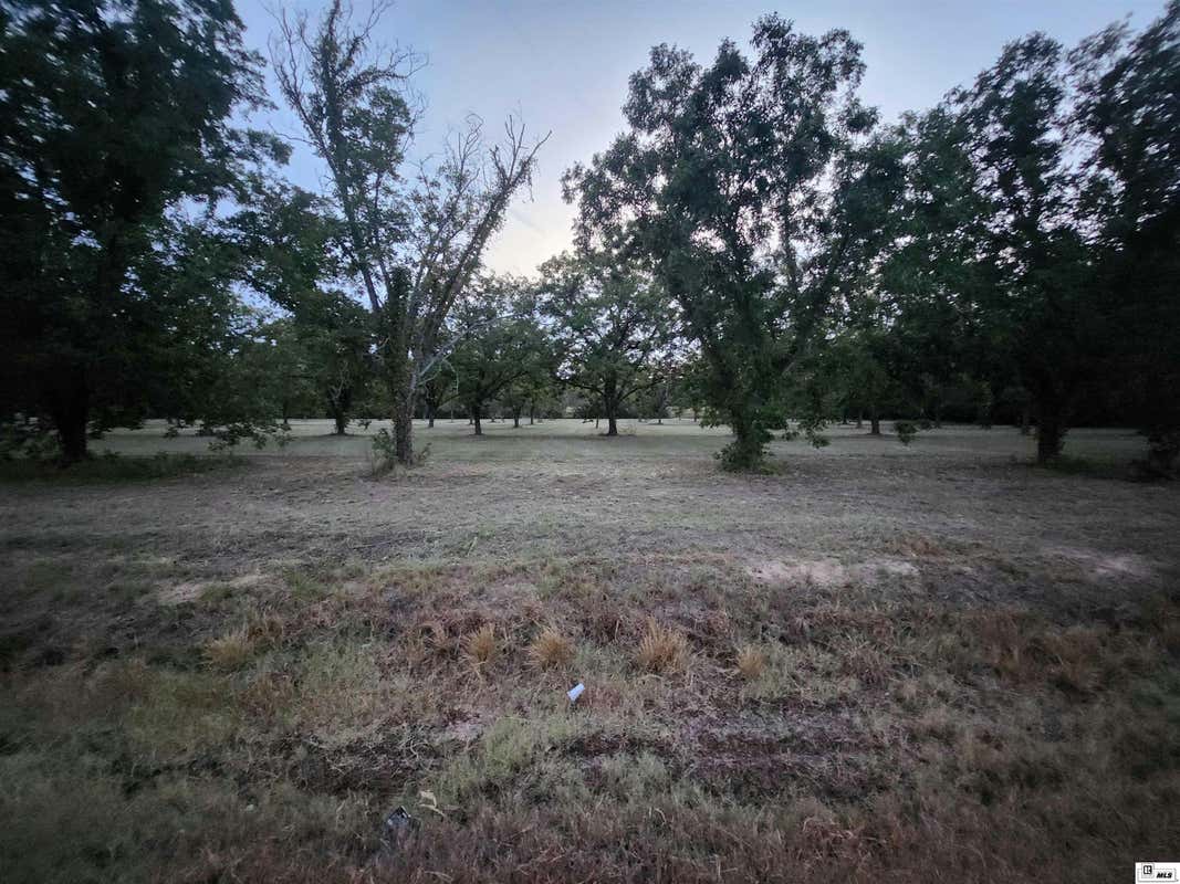 TRACT 2 HIGHWAY 578, WINNSBORO, LA 71295, photo 1 of 3