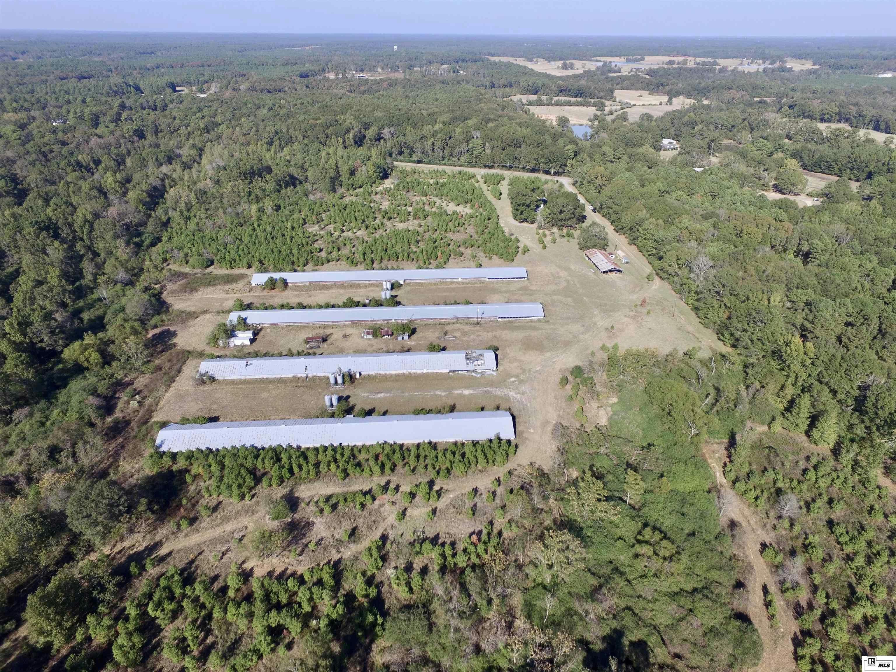 Choudrant, Louisiana, 71227, United States, ,3 BathroomsBathrooms,Residential,Active,1702985