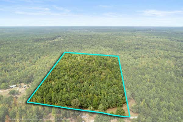 0 CR 377, BURNSVILLE, MS 38833 - Image 1