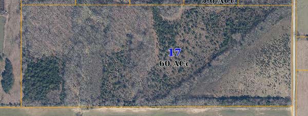 PROSPECT ROAD, NETTLETON, MS 38858 - Image 1