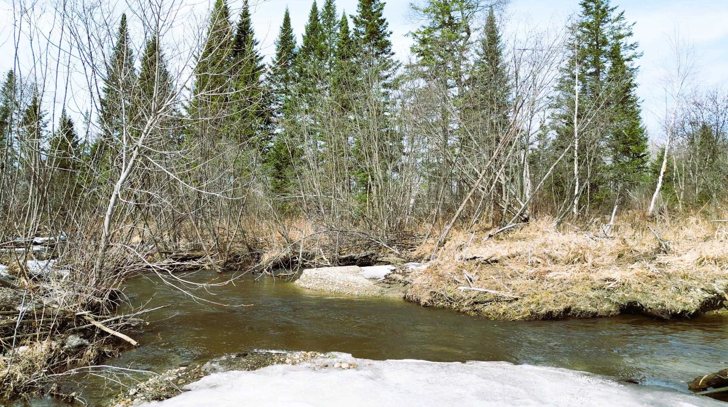 Jefferson, New Hampshire, 03583, United States, 3 Bedrooms Bedrooms, ,1 BathroomBathrooms,Residential,Active,1877863