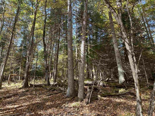 00 US ROUTE 302, LISBON, NH 03585 - Image 1