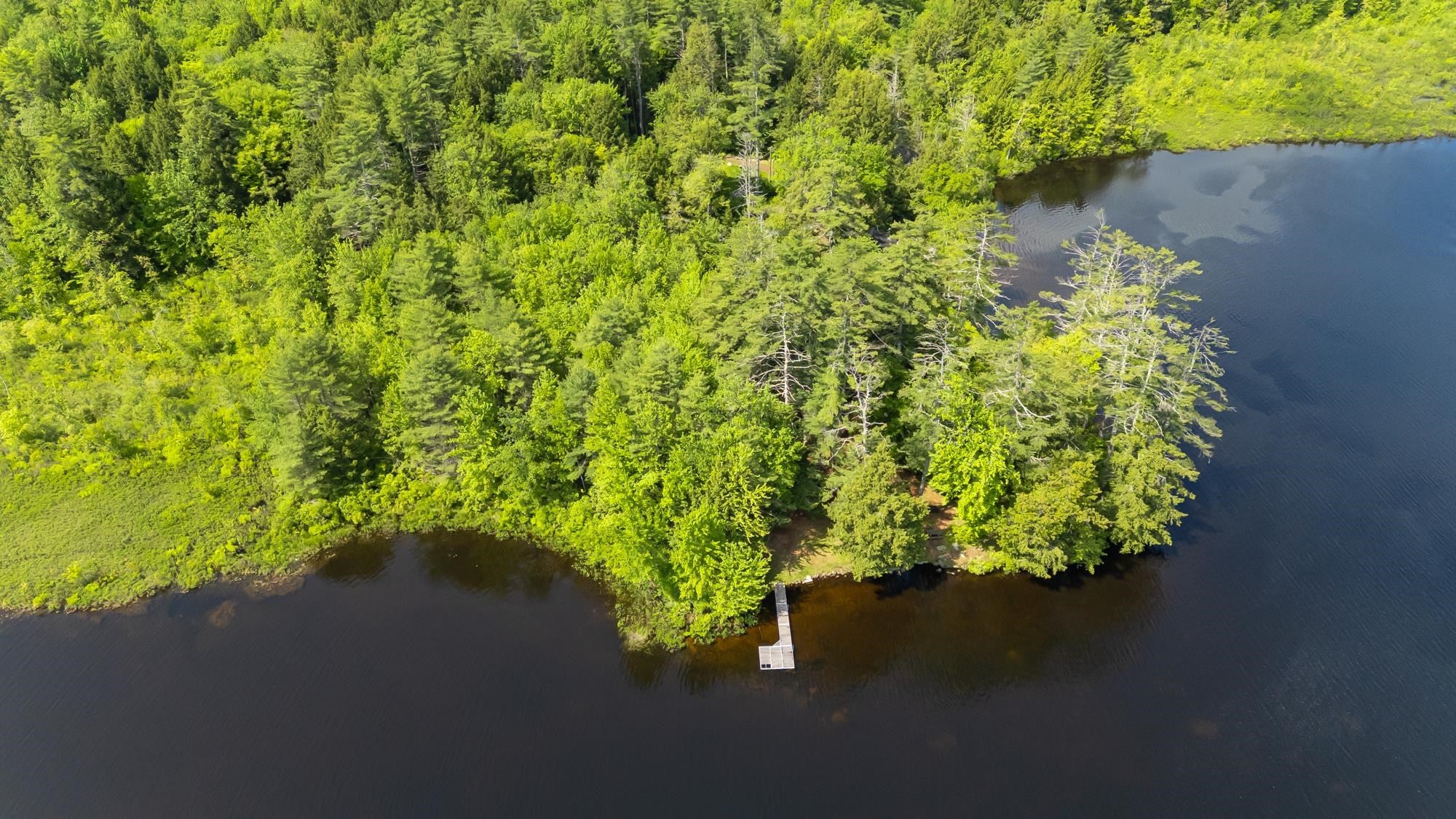 Meredith, New Hampshire, 03253, United States, 3 Bedrooms Bedrooms, ,2 BathroomsBathrooms,Residential,Active,1849489