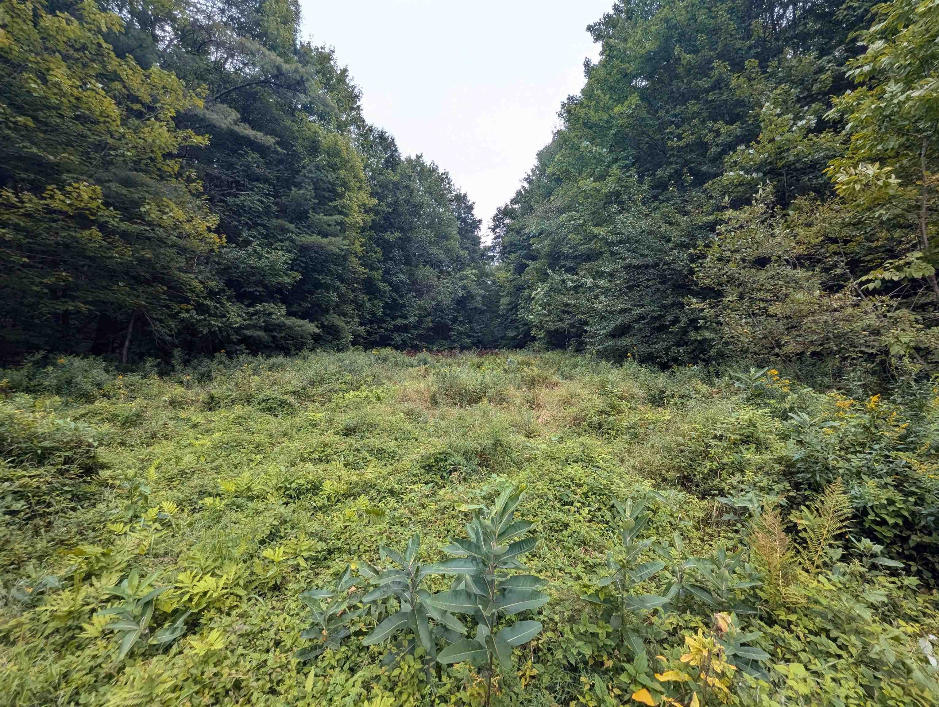 Woodbury, Vermont, 05681, United States, 3 Bedrooms Bedrooms, ,4 BathroomsBathrooms,Residential,Active,1952476