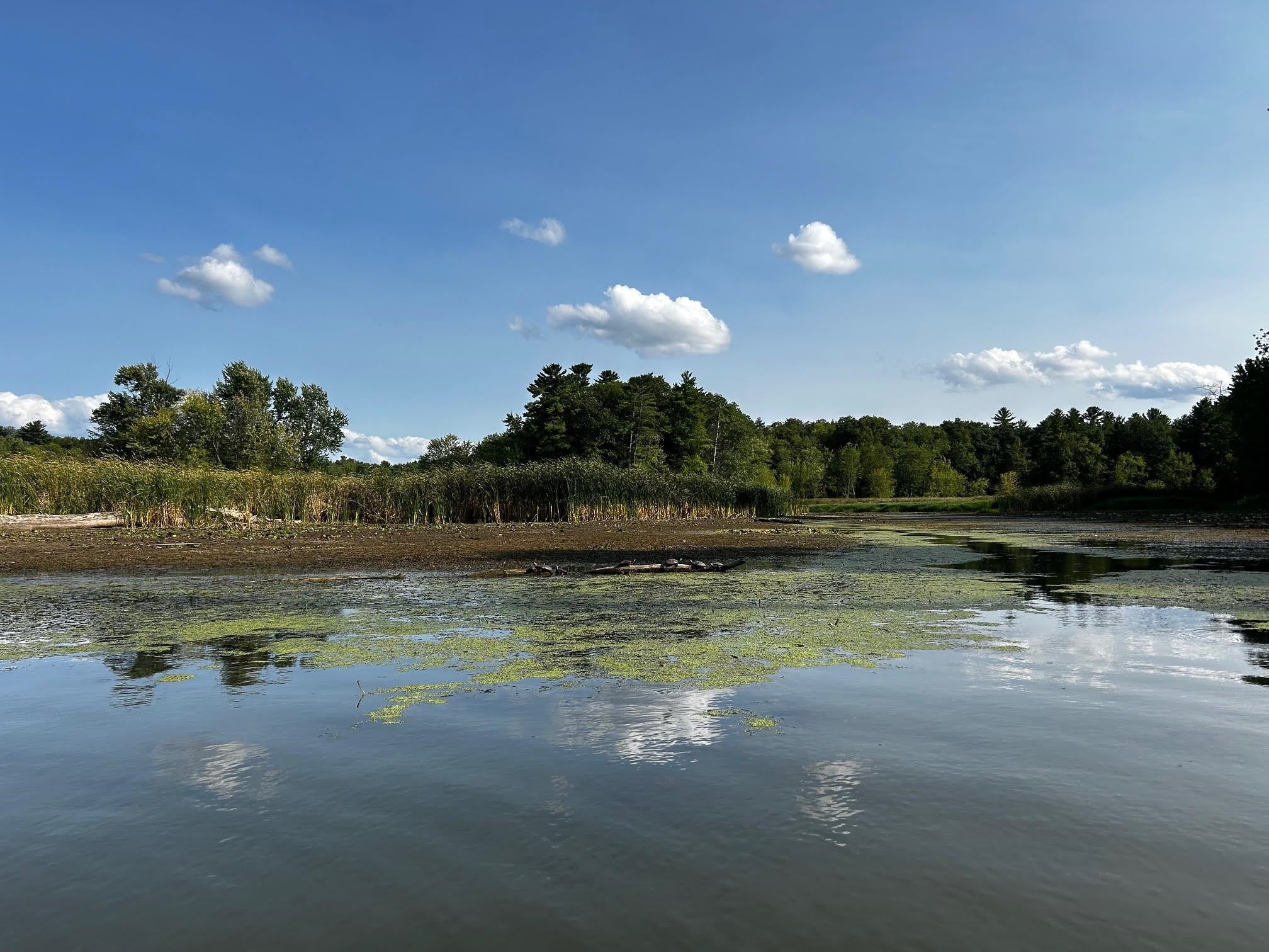 Shelburne, Vermont, 05482, United States, 3 Bedrooms Bedrooms, ,4 BathroomsBathrooms,Residential,Active,1962170