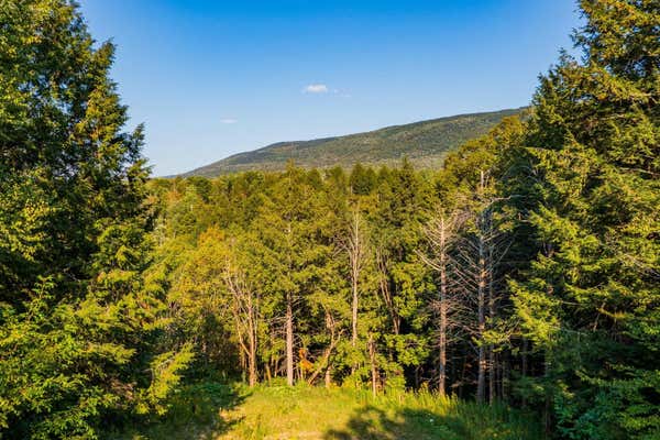 0 ALDEN LANE LAND LOT # 17, SUNDERLAND, VT 05250 - Image 1