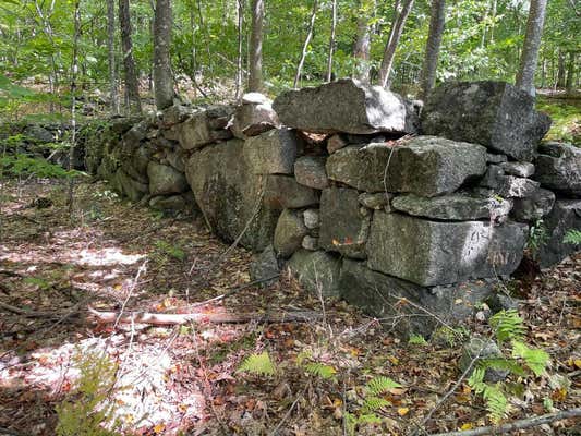 MAP8 LOT 141 CENTER ROAD, HILLSBOROUGH, NH 03244, photo 2 of 19