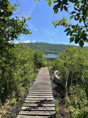 31 POST POND LN, LYME, NH 03768 - Image 1