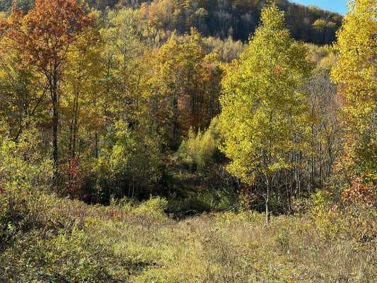 00 SKINNY RIDGE ROAD, LYMAN, NH 03585 - Image 1