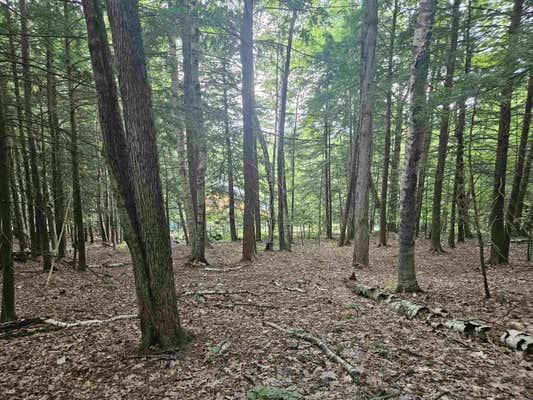 MAP 132 LOT 115 ARROWHEAD LANE, GILMANTON, NH 03237 - Image 1