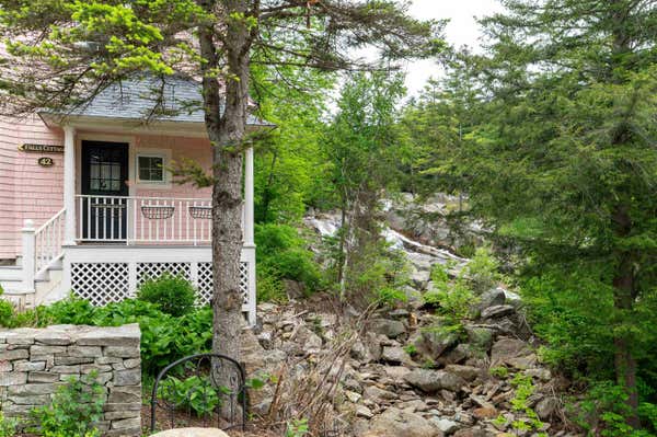 42 CARTER NOTCH RD, JACKSON, NH 03846 - Image 1