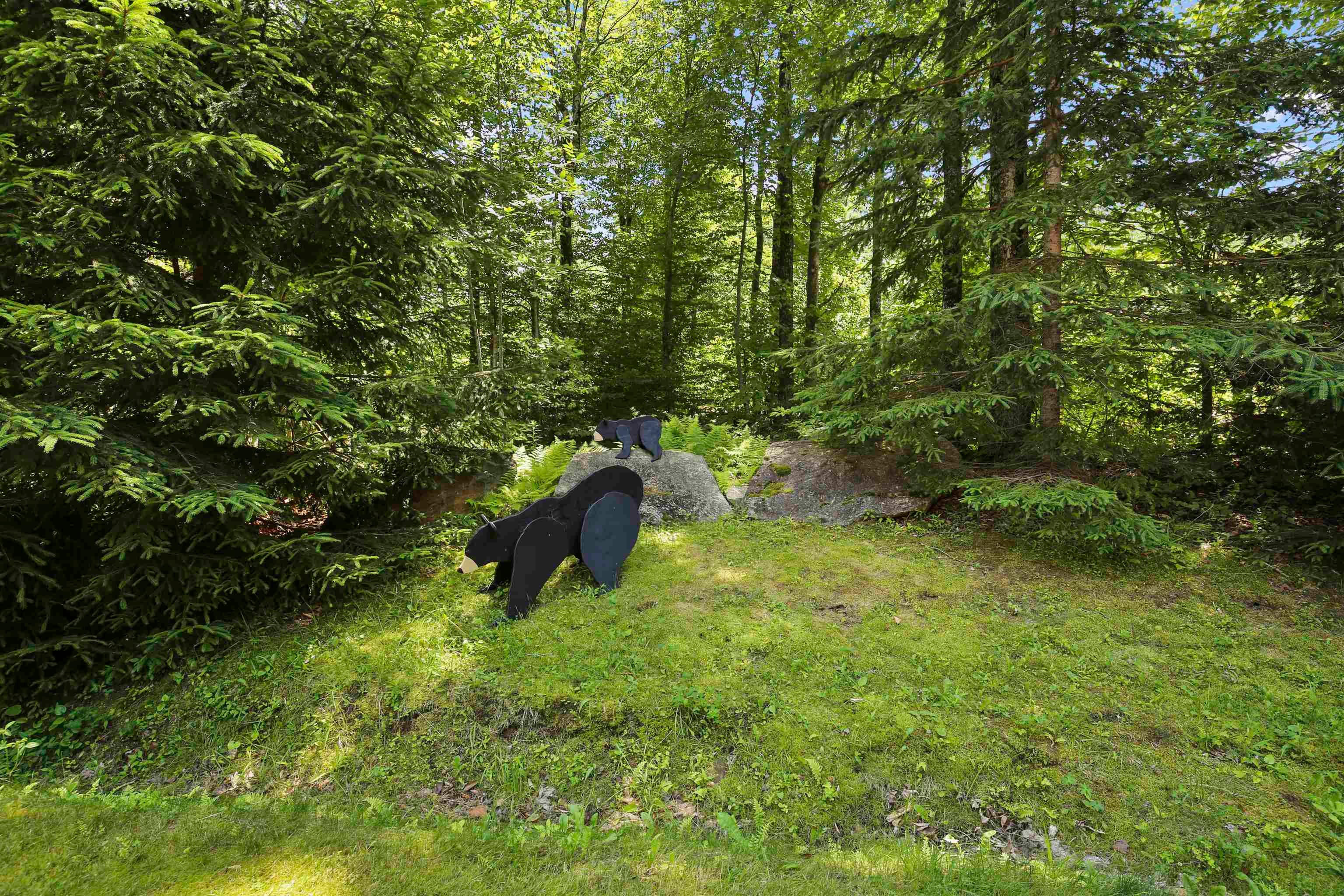 Killington, Vermont, 05751, United States, 3 Bedrooms Bedrooms, ,3 BathroomsBathrooms,Residential,Active,1884979