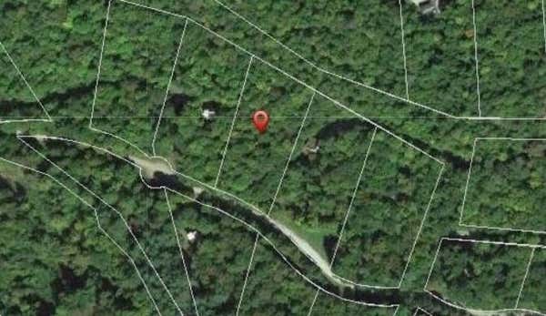 262 GOSHAWK DR, PLYMOUTH, VT 05056 - Image 1