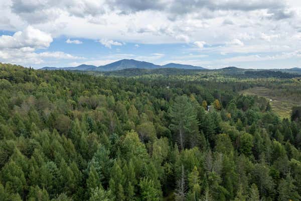 0000 BURKE HOLLOW ROAD, BURKE, VT 05819 - Image 1