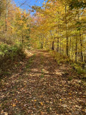 - WILLOUGHBY LAKE ROAD, BARTON, VT 05822 - Image 1