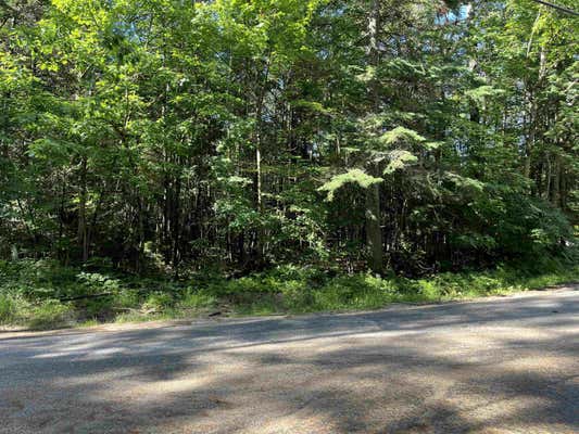 00 NORTH RD./HEMLOCK LANE, DANBURY, NH 03230 - Image 1