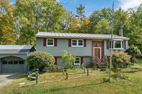 202 BADGER RD, GOSHEN, NH 03752 - Image 1