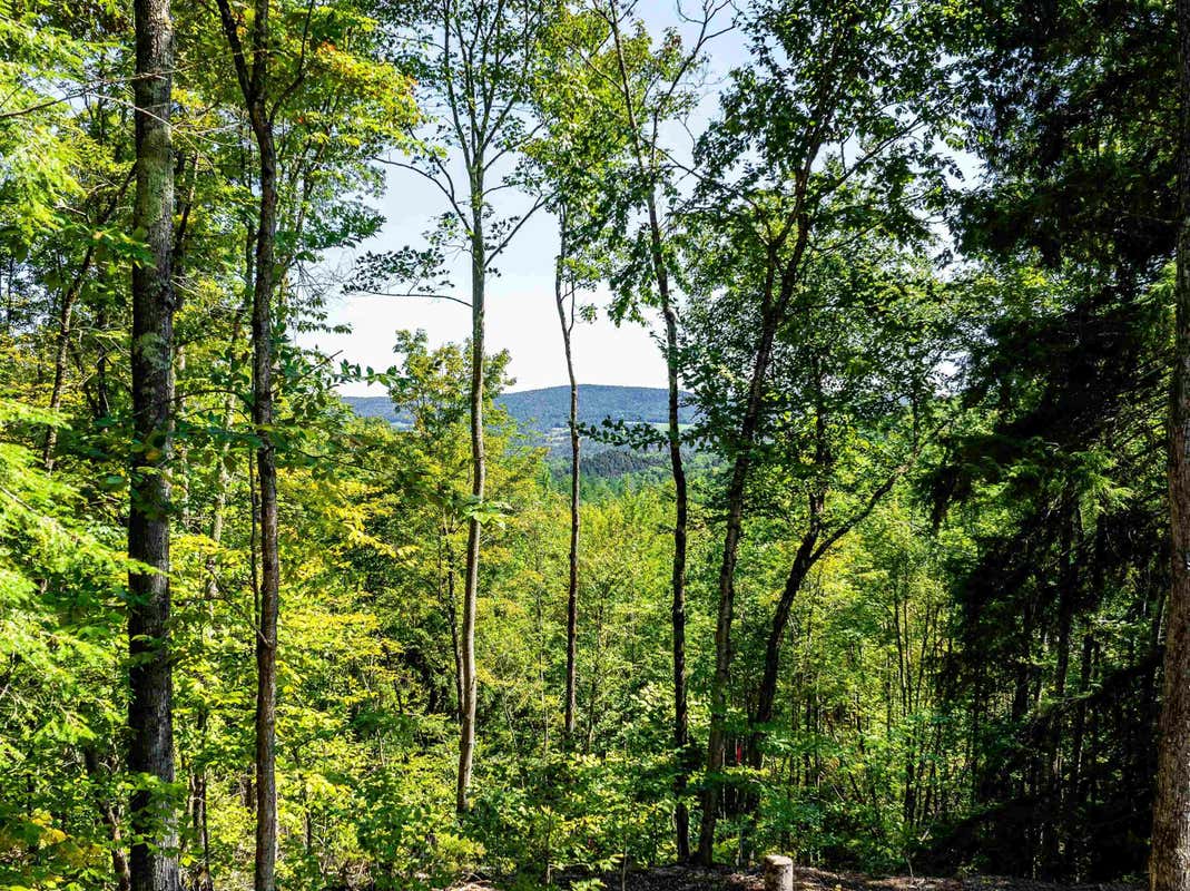 00 ARBOR LANE LOT # 10, DUXBURY, VT 05676, photo 1 of 9