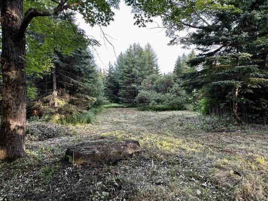 00 OLD COACH ROAD LOT# 2, LYNDON, VT 05849 - Image 1