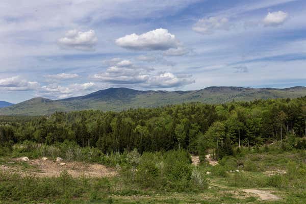 00 CHEEVER ROAD, WENTWORTH, NH 03282 - Image 1