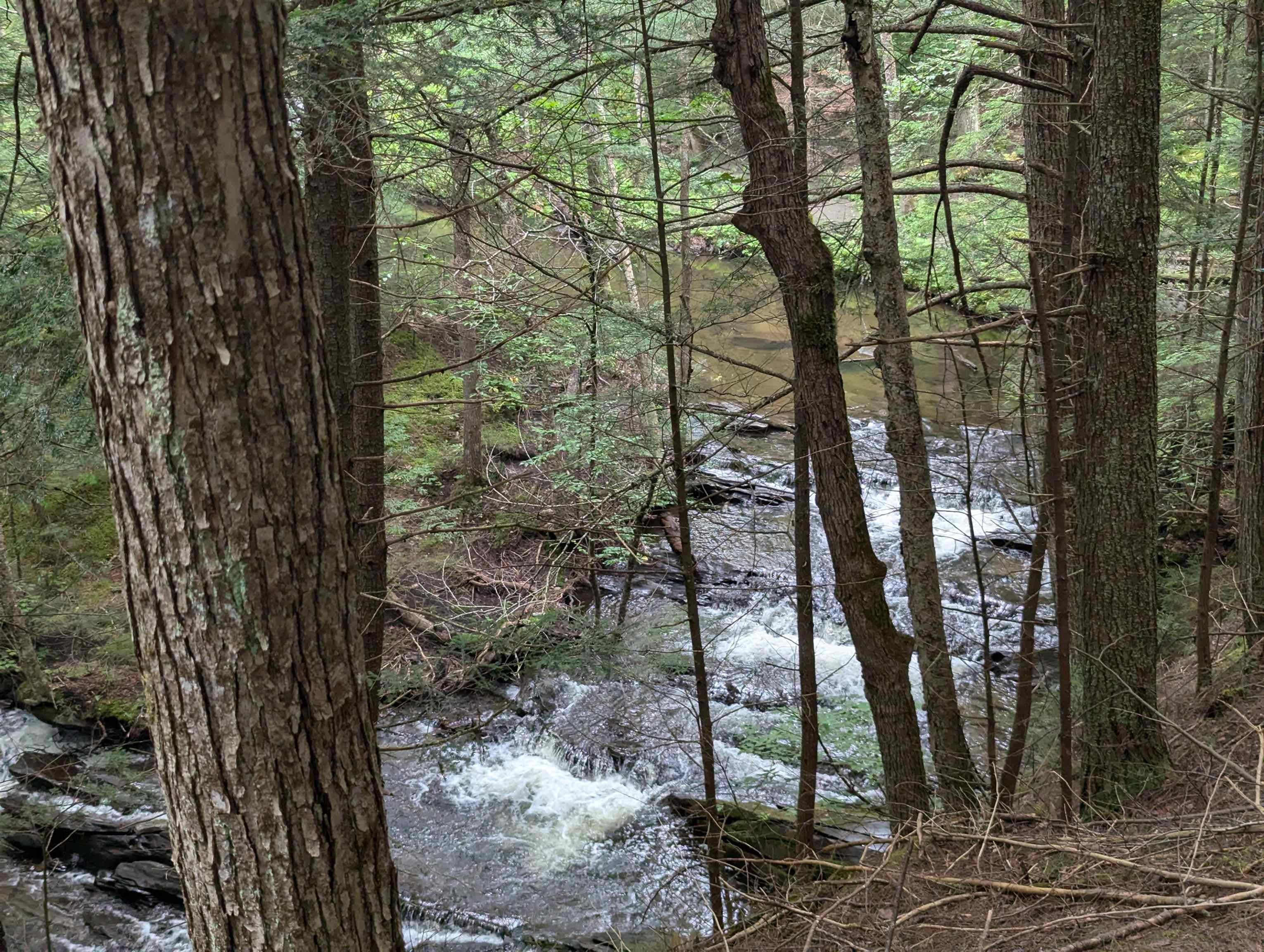Woodbury, Vermont, 05681, United States, 3 Bedrooms Bedrooms, ,4 BathroomsBathrooms,Residential,Active,1952476