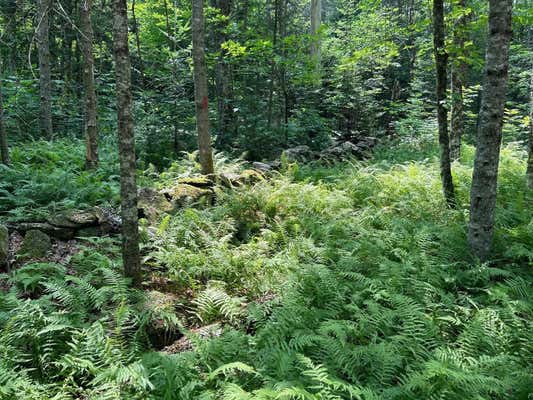 REILLY ROAD, LONDONDERRY, VT 05148, photo 2 of 6