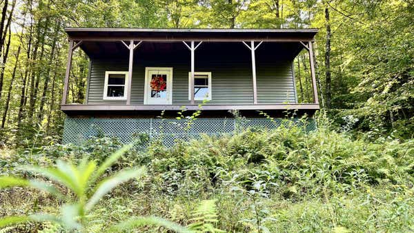 2075 CODDING HOLLOW RD, JOHNSON, VT 05656 - Image 1