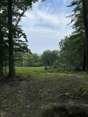 29 MEADERBORO RD, ALTON, NH 03809 - Image 1