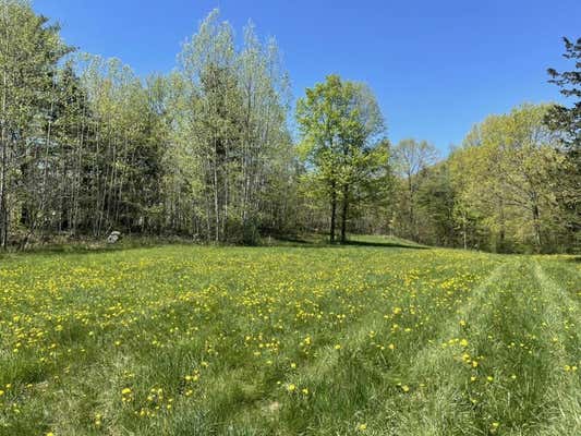 TBD FORREST ROAD, BRIDPORT, VT 05734 - Image 1