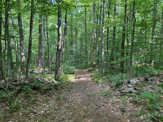 REILLY ROAD, LONDONDERRY, VT 05148, photo 5 of 6