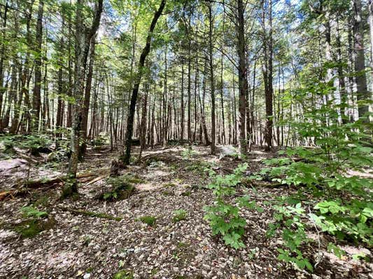 LOT 37 SANDS OF TIME ROAD # 37, CANAAN, NH 03741, photo 2 of 4