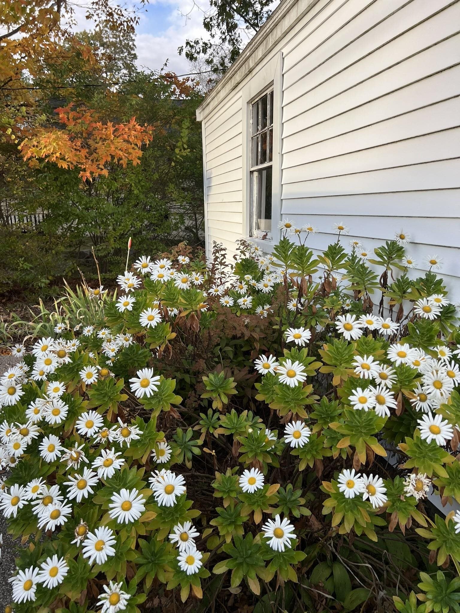 New Castle, New Hampshire, 03854, United States, 2 Bedrooms Bedrooms, ,2 BathroomsBathrooms,Residential,Active,1969685