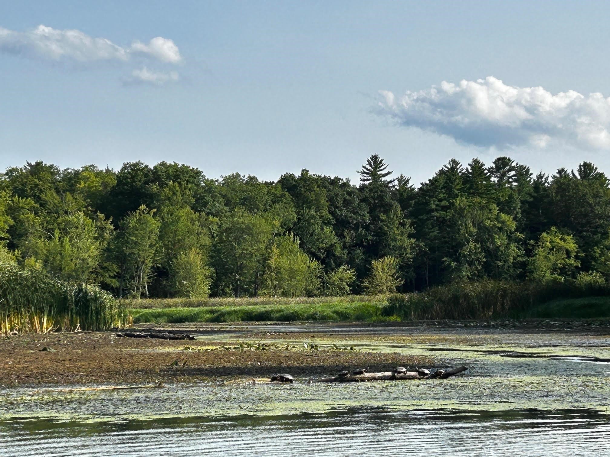 Shelburne, Vermont, 05482, United States, 3 Bedrooms Bedrooms, ,4 BathroomsBathrooms,Residential,Active,1962170