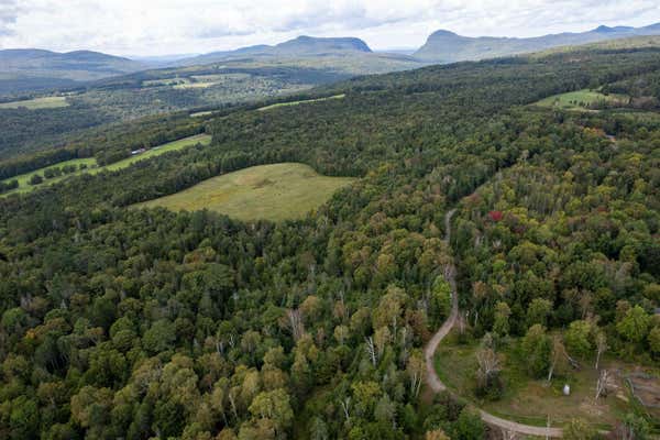 LOT 1D WHITE BIRCH ACRES ROAD, BURKE, VT 05832 - Image 1